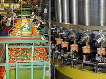 Handling | Processing